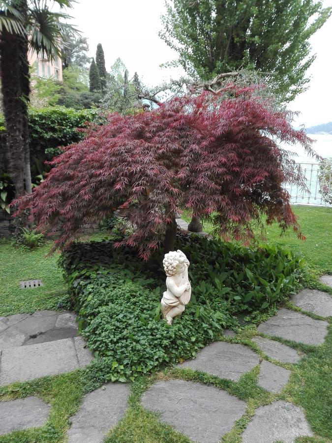 Villa Torretta Varenna Exteriér fotografie